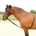 Shires Soft Lunging Aid - Black- one size
