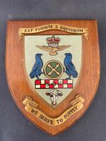 Vintage RAF Hereford 304th Entry 3 Squadron Shield Wall Plaque