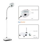 36W Mobile LED Dental Oral Surgery Light Exam Shadowless Medical Surgical Lamp