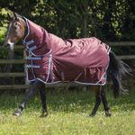 Gallop Heavy WEIGHT TURNOUT RUG Gallop Trojan Xtra 300 g FILL Combo Neck Rug