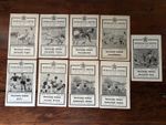 Newcastle Utd Collection from 1964-65 Div 2 Title Winning Season