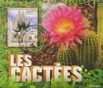 Cactus Togo Stamped 8445