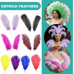 5-10x Large Ostrich Feathers Fly Plume Craft Hat Arts Wedding Party Decorations