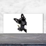 Tulup Kitchen Glass Splashback 120x60 Dog with martini