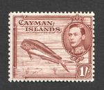 Cayman Islands KGVI Dolphin Fish 1s 1938 p13x11.5 SG 123 Mounted Mint Stamp