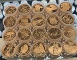 LOT OF 100 X 1 OZ MIXED .999 FINE COPPER ROUNDS BULLION 5 tube of 20