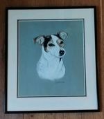 Lovey Pastel Portrait Of A Jack Russell By Charlotte Preston