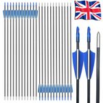 24X Archery Arrows Fibreglass 31" Target Practice Field Point Vanes Bow Shooting