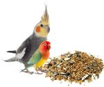 Cockatiel Parakeet Lovebird Mix Food Feed Bird Seeds Complete Premium Caged Bird