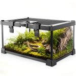 Mini Reptile Glass Terrarium Vivarium 12"x8"x6" Full View Tank for Small Amphibi