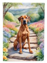 Caroline's Treasures Rhodesian Ridgeback Spring Path Garden Flag DAC6704GF