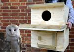 Barn Owl Nest Box UK | Indoor Use Only | Farm Buildings | Barn Owl Centre