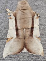 Genuine Natural SPRINGBOK Brown African Exotic Skin