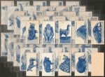 CARRERAS TURF SLIDES-FULL SET- ZOO ANIMALS 1954 (CUT 50 CARDS) EXCELLENT
