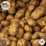 Fresh Jersey Royal New Potatoes - Jersey Island New Season Crop 1.5kg Box Offer