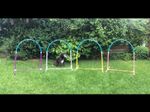 Jessejump Hooper Agility Hoop