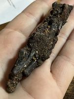 1700s Shipwreck Clump Netherland Dutch East India Metal Fragments Spikes Nails