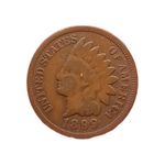 1899 USA Indian Head Cent Coin