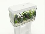 **BRAND NEW** Fish Tank Aquarium & Optional Stand: Heater, Filter & More Include