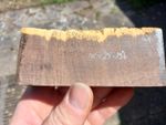 Australian Snakewood for penturning/turning or handle making
