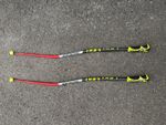 Leki World Cup Racing GS Curved Ski Pole Trigger S WCR 120cm