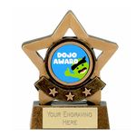 Mini Gold Star Dojo Award Trophy 8cm Resin FREE engraving and Certificate