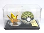 Functional Art ll Clear Case and Japanese Handmade Ball by Me 474Sc20