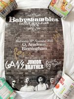 Babyshambles Dandy Hooligan Tour Poster Birmingham Signed - 26/11/25 PeteDoherty