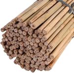 Strong Heavy Duty Thick Bamboo Good Quality Plant Support Garden Canes 3FT-8FT
