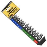 SabreCut 12pc Low Profile Torx Bit Socket Set T10–T60 Dual-Drive