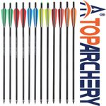 20" Hunting Bolts Shooting Carbon Arrows or/& 100 Grain Screw Tips for Outdoor