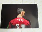 100% GENUINE SIGNED TATY WEST HAM 12x8 PHOTO  bb hh