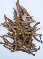 Organic Mondia Whitei Root - African White's Ginger | Best Quality Mulondo