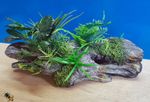 Aquarium Ornament Log Wood Garden Plants Hide Fish Tank Decoration Bowl Goldfish
