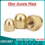 Brass Dome Nuts Metric M3 M4 M5 M6 M8 M10 M12 M14 M16 M18 M20 Hex Cap Acorn Nut 