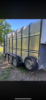 2020 tri axle Ifor Williams livestock trailer