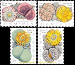 NAMIBIA 2026 FLOWERS PLANTS LITHOPS