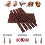 Fence Wall Spikes Garden  Security Intrude Cat Climb Bird