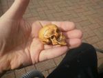 2b.  Carved cyprus wood netsuke human skull collectable figure
