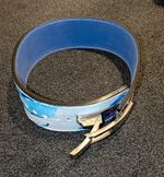 Custom Dragon Ball Z Gym Belt