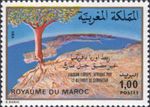 Morocco 1980 Tree/Map/Liaison over Straits of Gibraltar/Politics 1v (n46504)