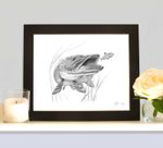 PIKE MOUNTED Art Print as seen on the inside cover of the book Willow Pitch 3  