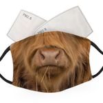 Cow Face - Adult Face Masks - 2 Filters Included