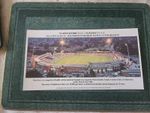 Unframed Cricket Print