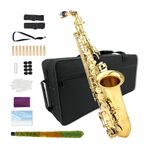 Alto Saxophone Eb - Complete Beginner Saxophone Kit with Case and Accessories