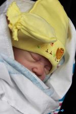 REBORN BABY DOLL KIT NEW LANE by Sandra White 19 in long BB USA  soft vinyl ref1