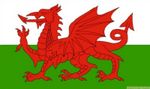 WALES FLAG 3X2 feet 90cm x 60cm FLAGS WELSH