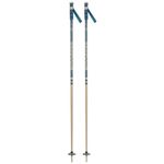 Rossignol Stove Ski Poles (Teal/Sand)