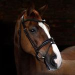 Cottage Craft Flash Bridle Brown