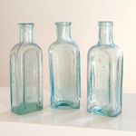 Set Of 3 Antique Small Aqua Glass Bottles Embossed Lung Tonic Bottle Late 19th C
